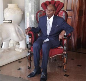 Birthday boy ... President Mugabe poses for a picture at his home on 95th birthday