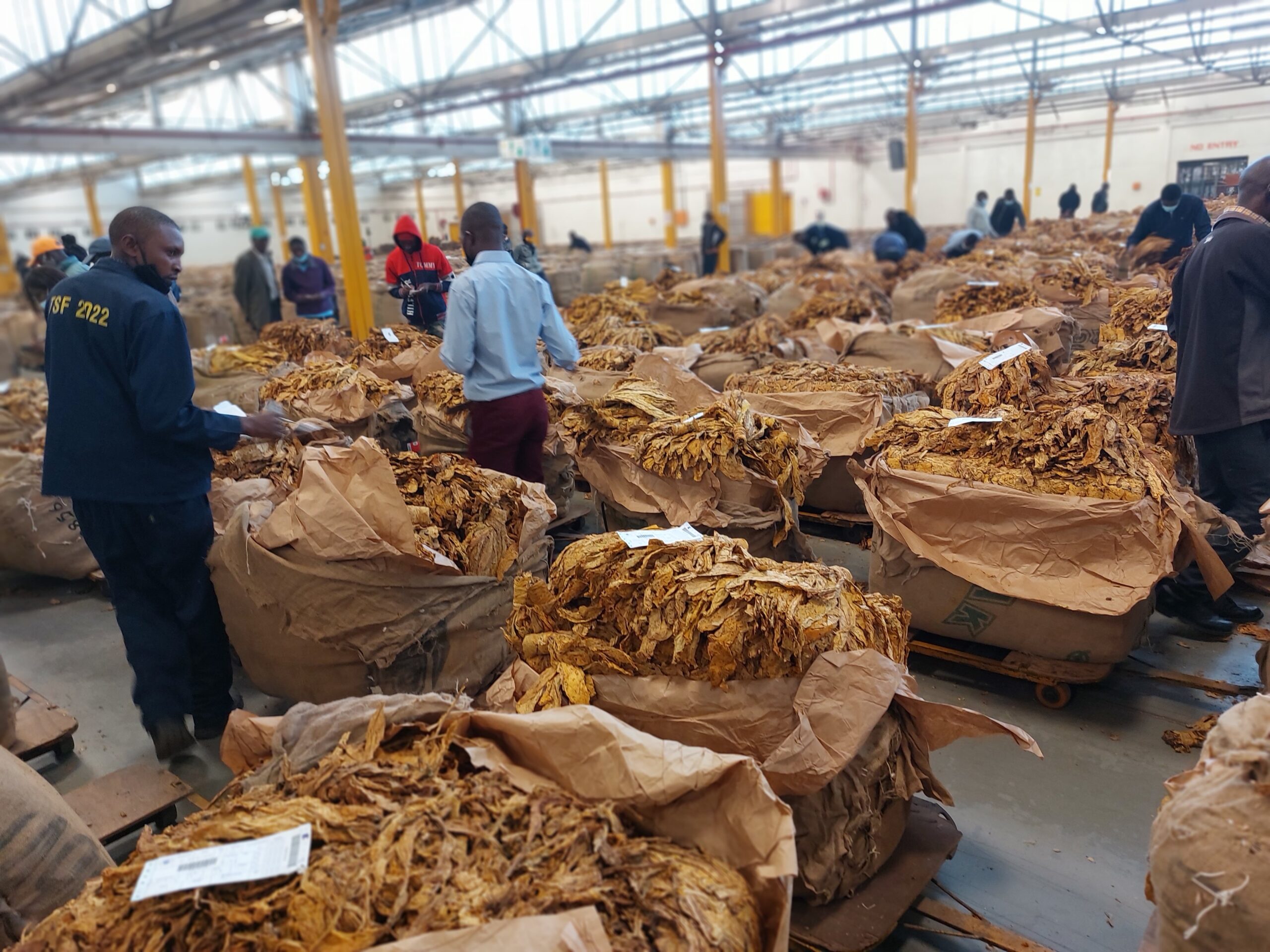 buy tobacco products Non-Cigarette Tobacco Products and POS Policies – Counter Tobacco